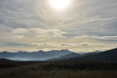 DSC_5853 (Large).JPG